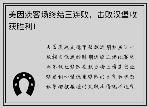 美因茨客场终结三连败，击败汉堡收获胜利！